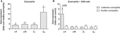 Suppression of Eosinophil Integrins Prevents Remodeling of Airway Smooth Muscle in Asthma